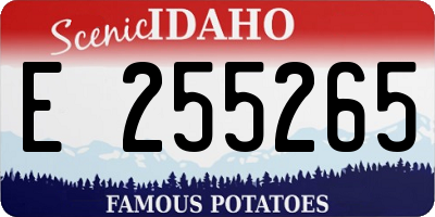ID license plate E255265