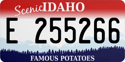 ID license plate E255266