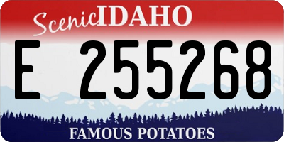 ID license plate E255268