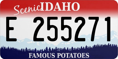 ID license plate E255271