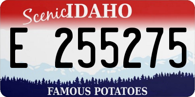 ID license plate E255275