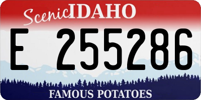 ID license plate E255286