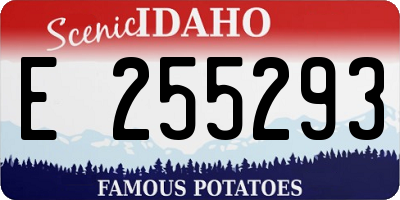 ID license plate E255293