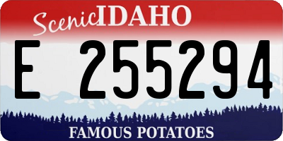 ID license plate E255294