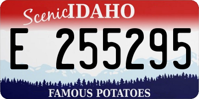 ID license plate E255295