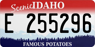 ID license plate E255296