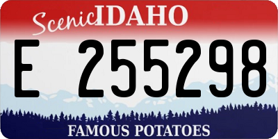 ID license plate E255298