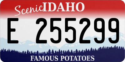 ID license plate E255299