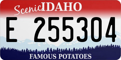 ID license plate E255304