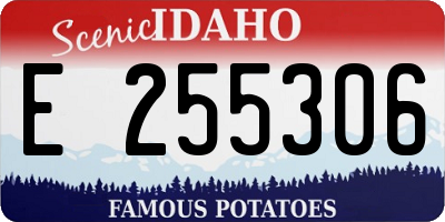 ID license plate E255306
