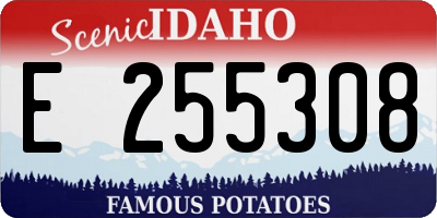 ID license plate E255308