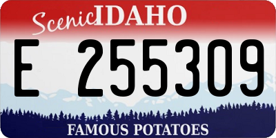 ID license plate E255309