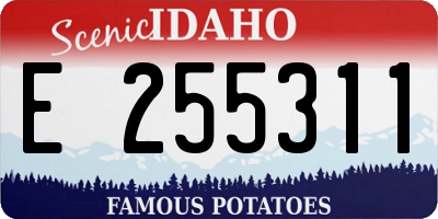 ID license plate E255311