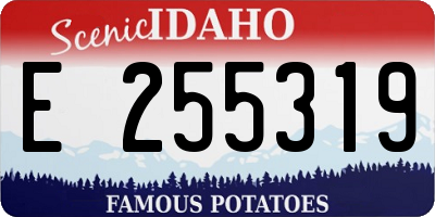 ID license plate E255319