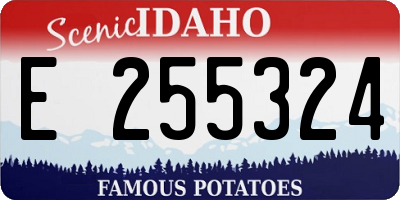 ID license plate E255324