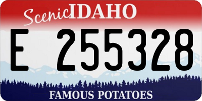 ID license plate E255328