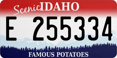 ID license plate E255334