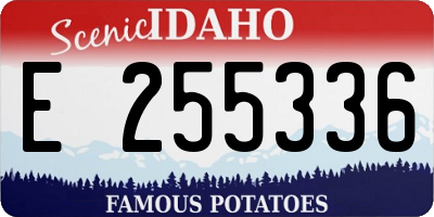 ID license plate E255336