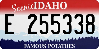 ID license plate E255338