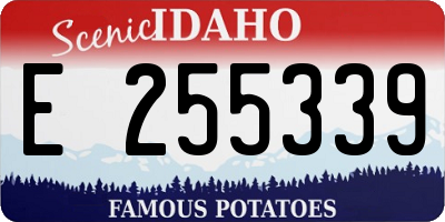 ID license plate E255339