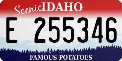 ID license plate E255346