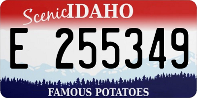 ID license plate E255349