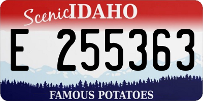 ID license plate E255363