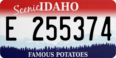 ID license plate E255374