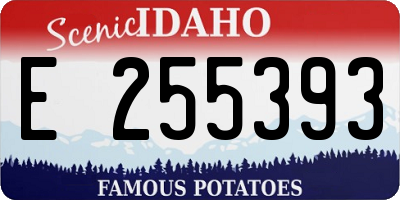ID license plate E255393