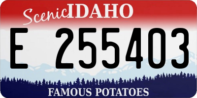 ID license plate E255403