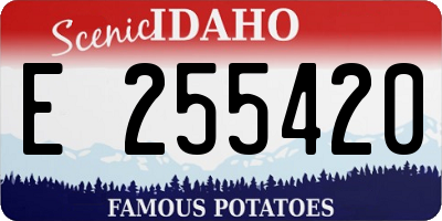 ID license plate E255420