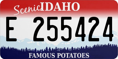ID license plate E255424