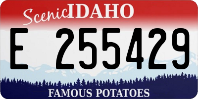 ID license plate E255429