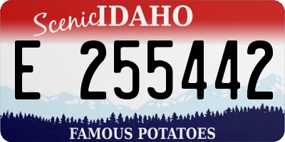 ID license plate E255442