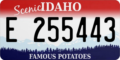 ID license plate E255443