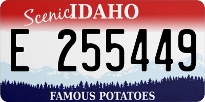 ID license plate E255449