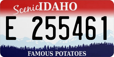 ID license plate E255461