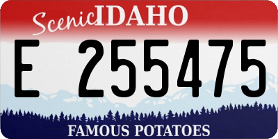 ID license plate E255475