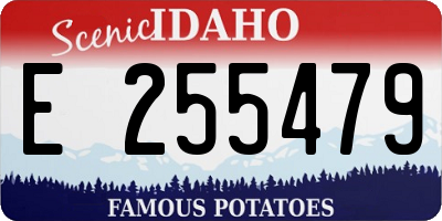 ID license plate E255479