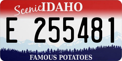 ID license plate E255481