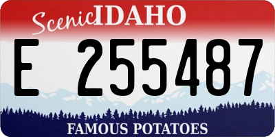 ID license plate E255487