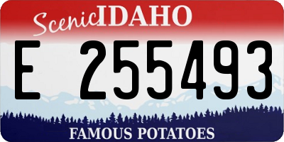 ID license plate E255493