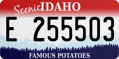 ID license plate E255503