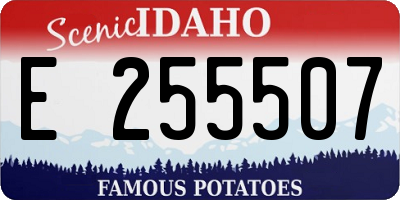 ID license plate E255507