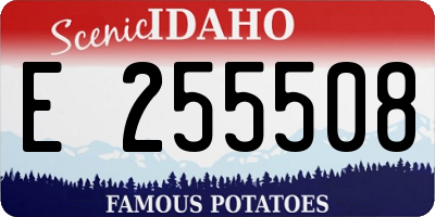 ID license plate E255508
