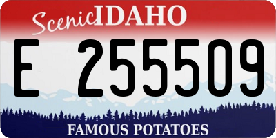 ID license plate E255509