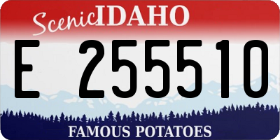 ID license plate E255510