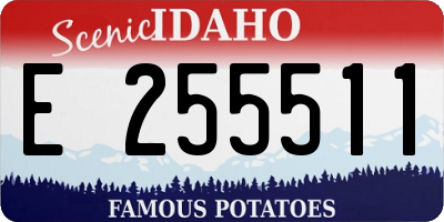 ID license plate E255511