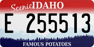 ID license plate E255513