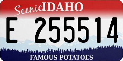 ID license plate E255514